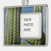 Barrel Cactus I Desert Foto Verzilverd Omlijst Ornament (Links)
