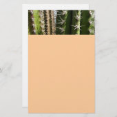 Barrel Cactus II Desert Natuur Foto Briefpapier (Voorkant / Achterkant)