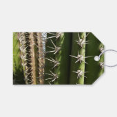 Barrel Cactus II Desert Natuur Foto Cadeaulabel (Voorkant (Horizontaal))