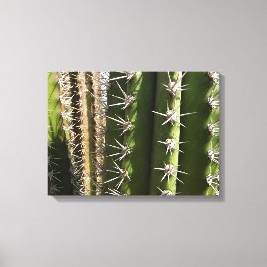 Barrel Cactus II Desert Natuur Foto Canvas Afdruk (Voorkant)