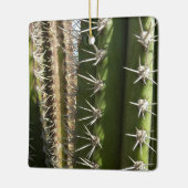 Barrel Cactus II Desert Natuur Foto Keramisch Ornament (Links)
