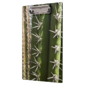 Barrel Cactus II Desert Natuur Foto Klembord (Links)