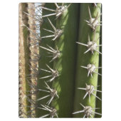 Barrel Cactus II Desert Natuur Foto Klembord (Achterkant)