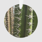 Barrel Cactus II Desert Natuur Foto Ornament (voorkant)
