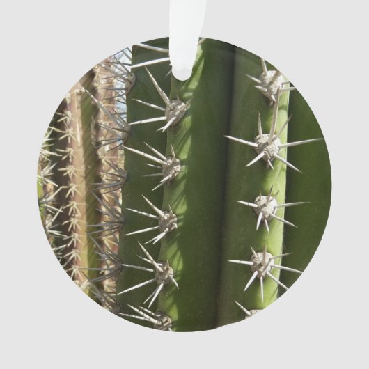 Barrel Cactus II Desert Natuur Foto Ornament (voorkant)