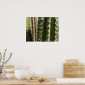 Barrel Cactus II Desert Natuur Foto Poster (Keuken)