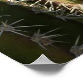 Barrel Cactus II Desert Natuur Foto Poster (Hoek)