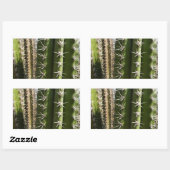 Barrel Cactus II Desert Natuur Foto Rechthoekige Sticker (Vel)
