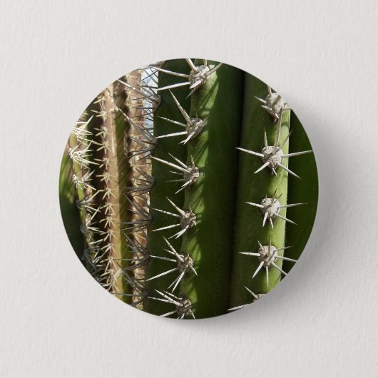 Barrel Cactus II Desert Natuur Foto Ronde Button 5,7 Cm (Voorkant)