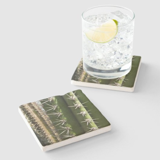 Barrel Cactus II Desert Natuur Foto Stenen Onderzetter (Zijkant)
