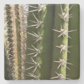 Barrel Cactus II Desert Natuur Foto Stenen Onderzetter (Voorkant)