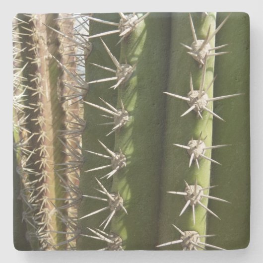 Barrel Cactus II Desert Natuur Foto Stenen Onderzetter (Voorkant)