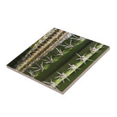 Barrel Cactus II Desert Natuur Foto Tegeltje (Zijkant)