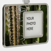 Barrel Cactus II Desert Natuur Foto Verzilverd Omlijst Ornament (Rechts)