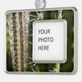 Barrel Cactus II Desert Natuur Foto Verzilverd Omlijst Ornament (Links)