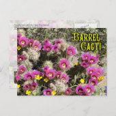 Barrel cactus in bloom, Sonoran Desert, Arizona Briefkaart (Voorkant / Achterkant)