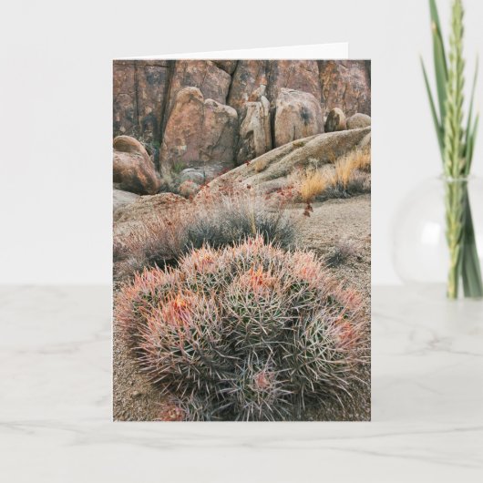 Barrel Cactus in Californië Kaart (Voorkant)