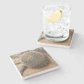 Barrel-cactus in de woestijn, Arizona, onderzetter (Zijkant)