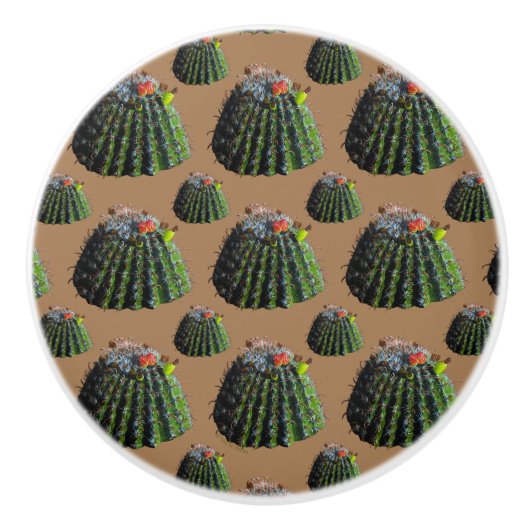 Barrel Cactus Knobs Keramische Knop (Voorkant)