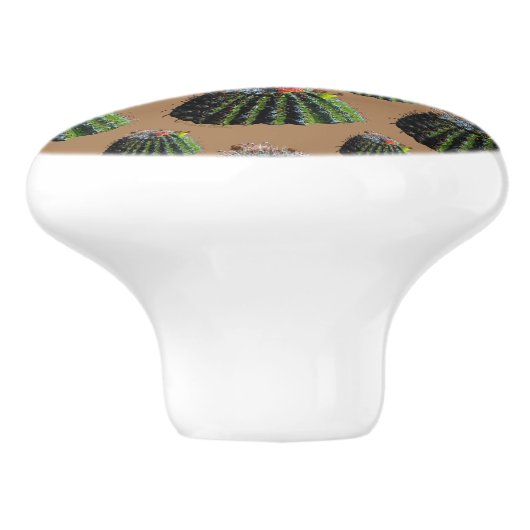Barrel Cactus Knobs Keramische Knop (Zijkant)