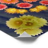 BARREL CACTUS MANDALA 3 POSTER (Hoek)