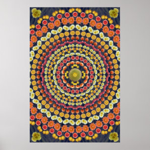 BARREL CACTUS MANDALA 3 POSTER