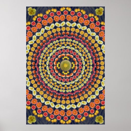 BARREL CACTUS MANDALA 3 POSTER (Voorkant)