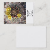 Barrel Cactus Plant Visitekaartje (Voorkant / Achterkant)