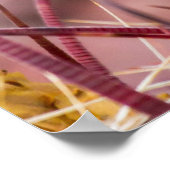 Barrel Cactus Roosting Poster (Hoek)