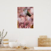 Barrel Cactus Roosting Poster (Keuken)
