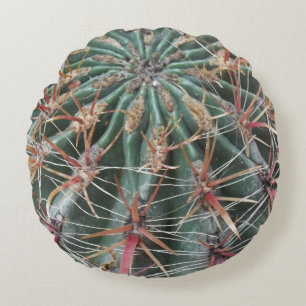 Barrel Cactus Southwest Cacti Desert Planten Rond Kussen