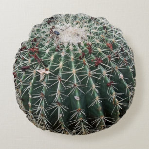 Barrel Cactus Southwest Design Desert Planten Rond Kussen