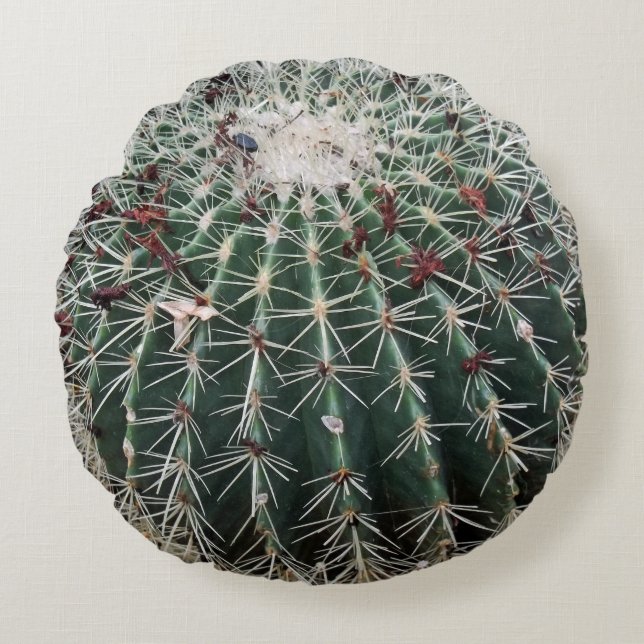 Barrel Cactus Southwest Design Desert Planten Rond Kussen (Voorkant)