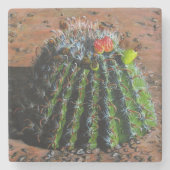 Barrel Cactus Stone Onderzetter (Voorkant)