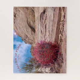 Barrel Cactus, Valley of Fire State Park, Nevada,  Legpuzzel