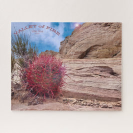Barrel Cactus, Valley of Fire State Park, Nevada,  Legpuzzel