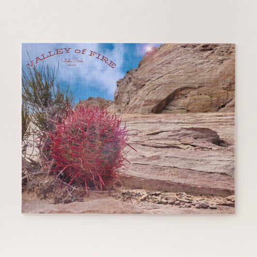 Barrel Cactus, Valley of Fire State Park, Nevada, Legpuzzel (Horizontaal)