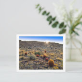 Barrel Cactus Wake Up Call beroemd gemaakt door Briefkaart (Staand voorkant)