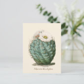 Barrel Cactus White Flower Briefkaart (Staand voorkant)