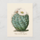 Barrel Cactus White Flower Briefkaart (Voorkant)