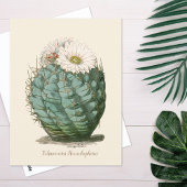 Barrel Cactus White Flower Briefkaart