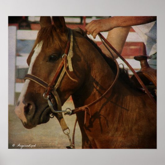 Barrel Race Horse Poster (Voorkant)