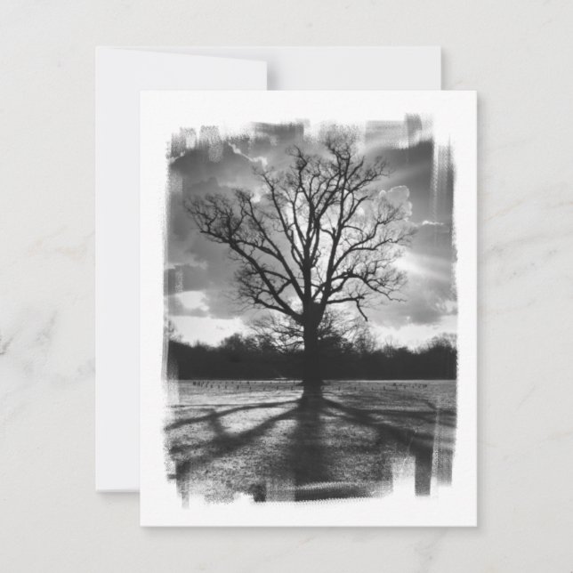 Barren Branches (Voorkant)