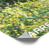 Barren Ground Cariou Poster (Hoek)