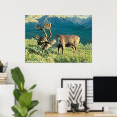Barren Ground Cariou Poster (Thuiskantoor)