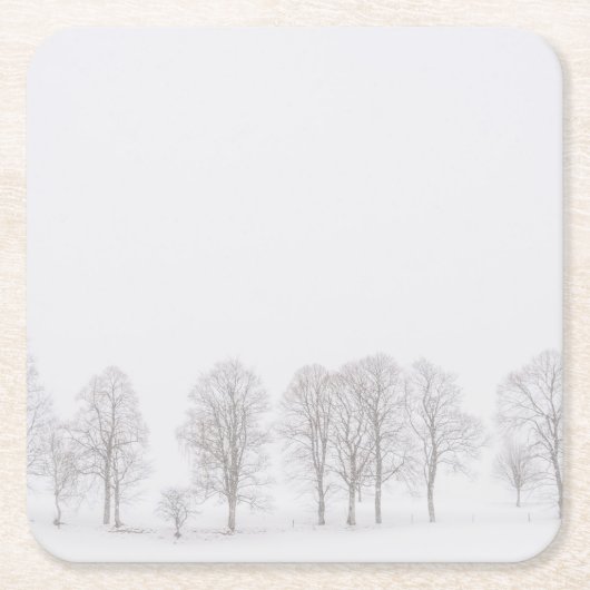 Barren in de winter in een wit onderzetter (Voorkant)