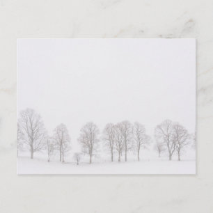 Barren in een sneeuwwit briefkaart