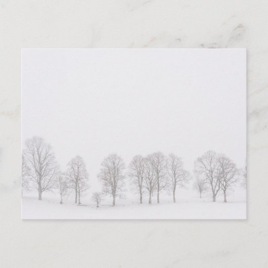 Barren in een sneeuwwit briefkaart (Voorkant)