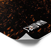 Barren Land Poster (Hoek)