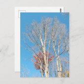 Barren Trees Briefkaart (Voorkant / Achterkant)